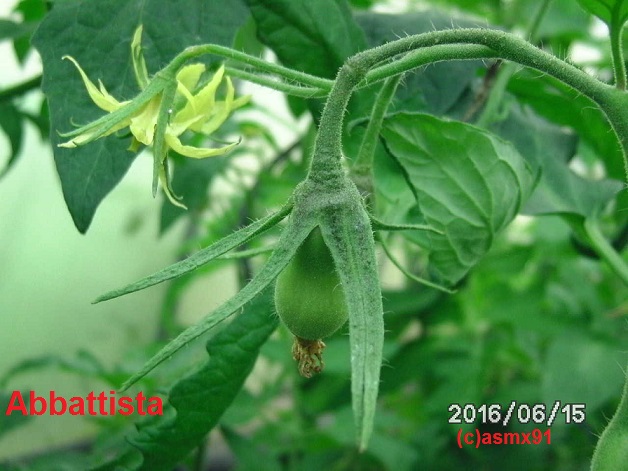 [Bild: bild0349gkzly.jpg]
