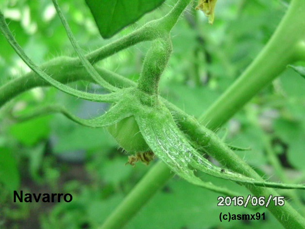 [Bild: bild0350ufyo6.jpg]