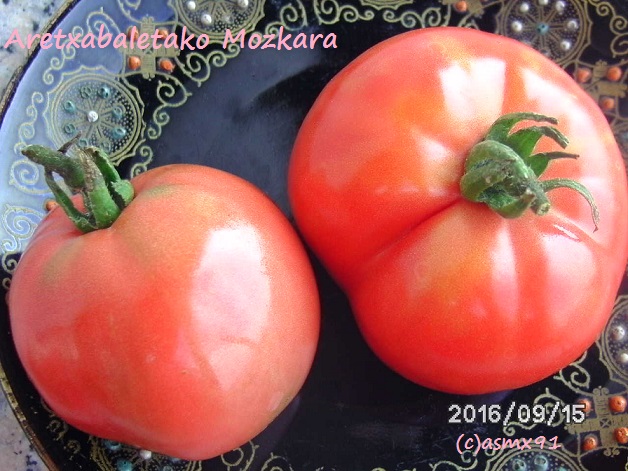 [Bild: bild0361igkmb.jpg]