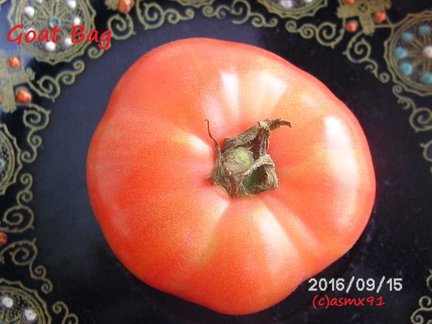 [Bild: bild0366dtjl4.jpg]