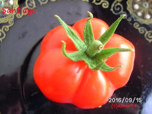 [Bild: bild0368b6j1i.jpg]