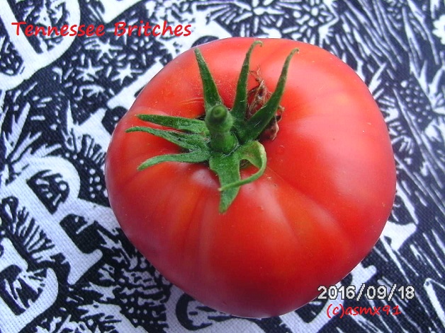 [Bild: bild03765tjy5.jpg]