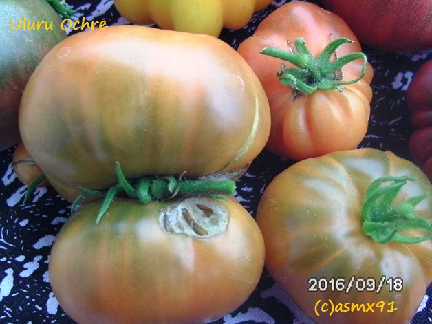 [Bild: bild0378qnk42.jpg]