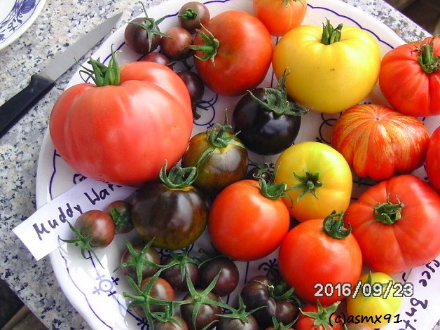 [Bild: bild0392pju44.jpg]