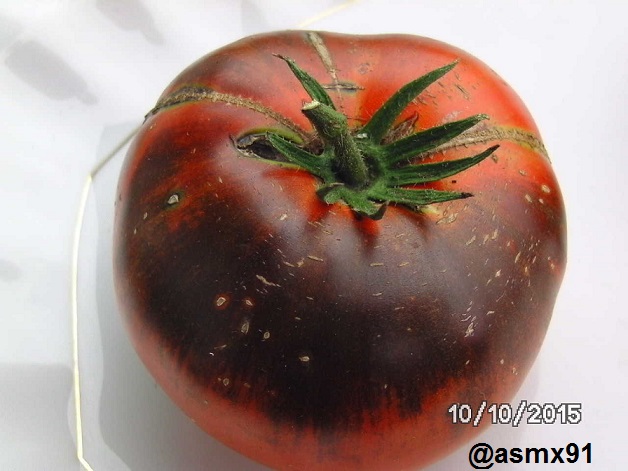 [Bild: bild044820udu.jpg]