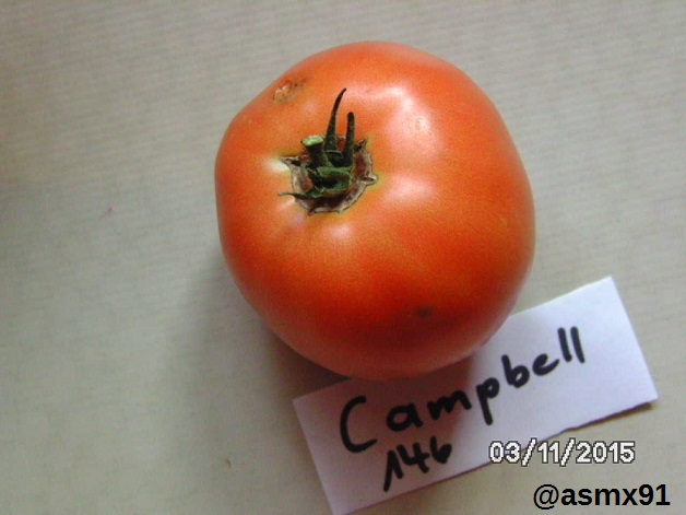 [Bild: bild0492zbj0j.jpg]