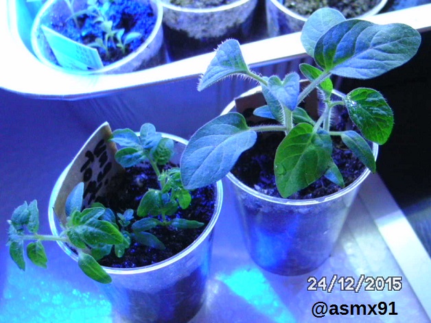 [Bild: bild053891j05.jpg]