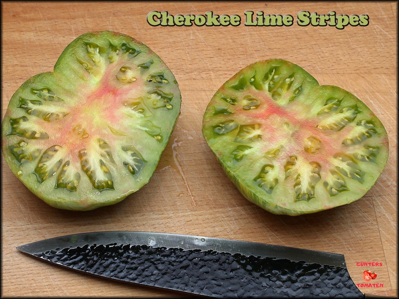 [Bild: cherokeelimestripesaudukib.jpg]