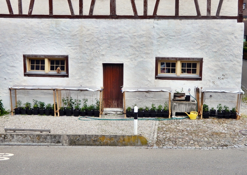 [Bild: dscn5743-du0jhq.jpg]