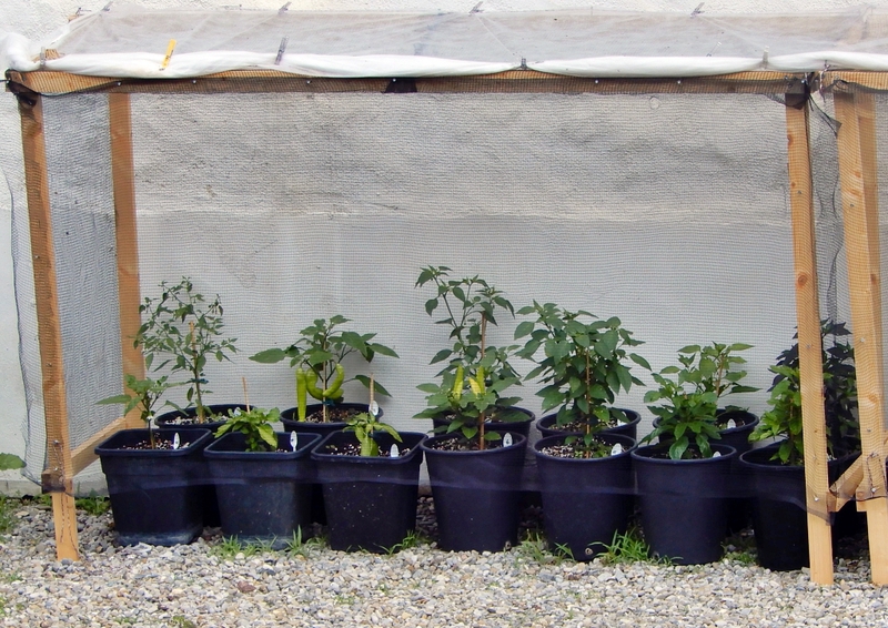 [Bild: dscn5744-d2zkhf.jpg]