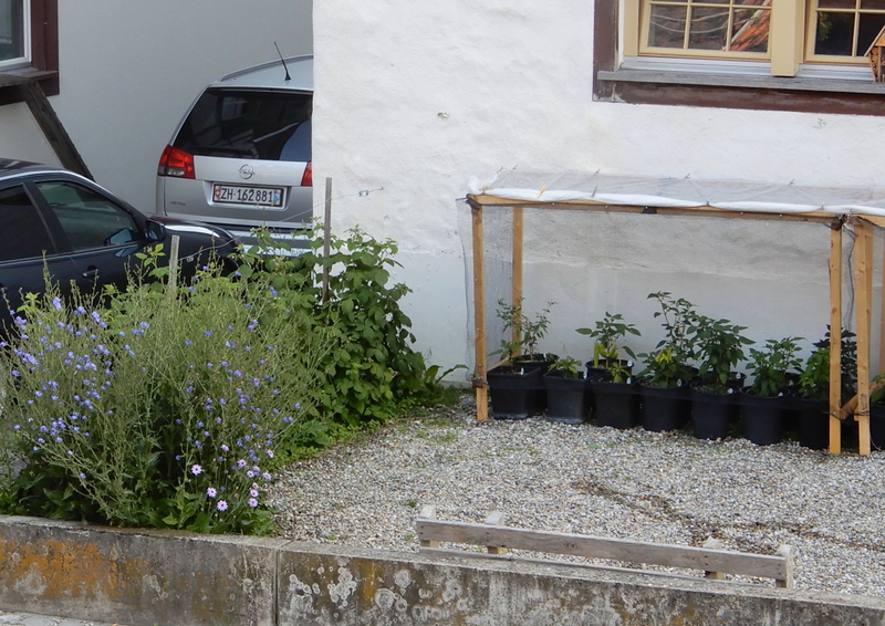 [Bild: dscn5759-dmejhe.jpg]
