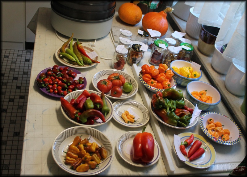 [Bild: ernte201510119gxll.jpg]