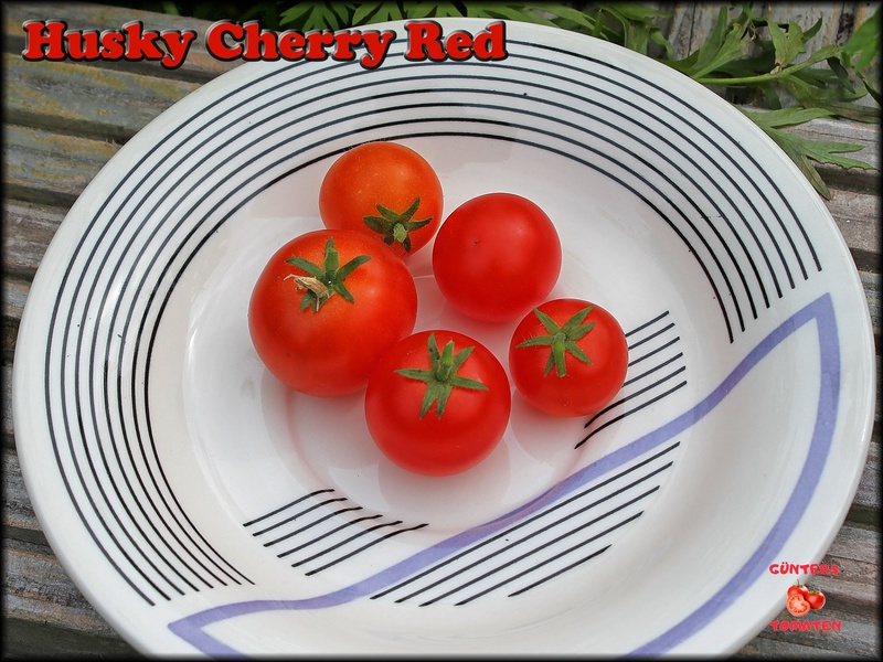 [Bild: huskycherry11072022_ack1q.jpg]