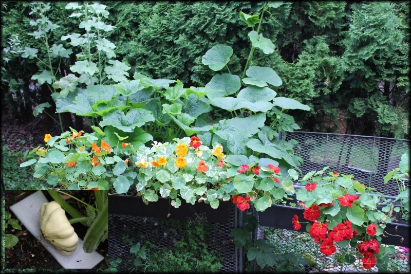 [Bild: krbis_12072015uaugo.jpg]