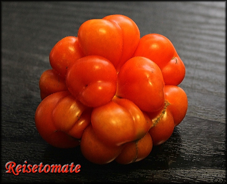 [Bild: reisetomate22swm.jpg]