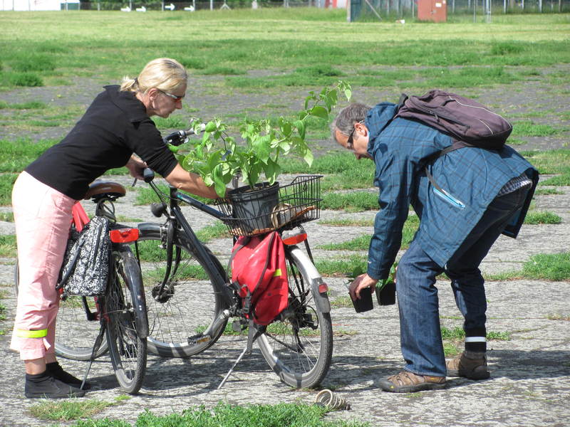 [Bild: rocotoabmarschs2p08.jpg]