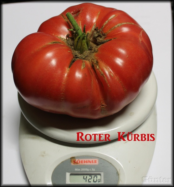 [Bild: roterkrbisksa6d.jpg]
