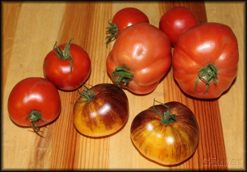 [Bild: tomaten20151001p2uog.jpg]