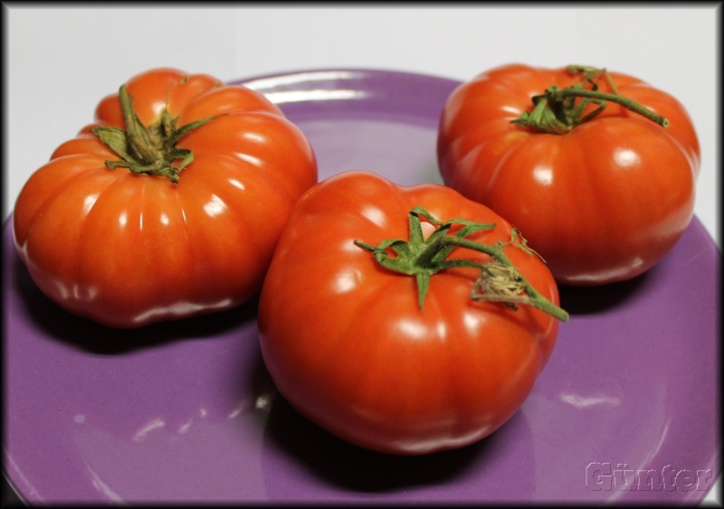 [Bild: tomaten61kx2.jpg]
