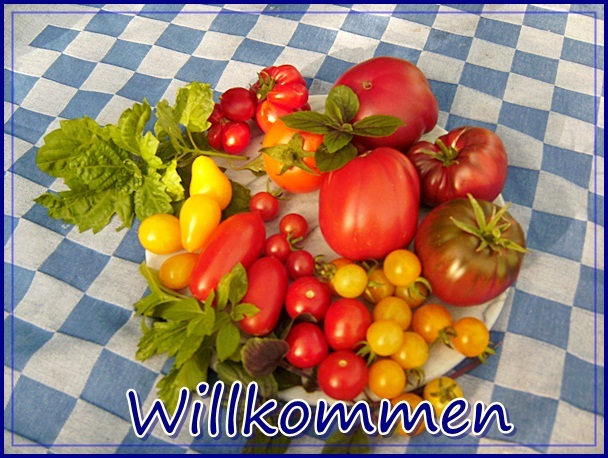 [Bild: willkommentomatenvfe0v.jpg]